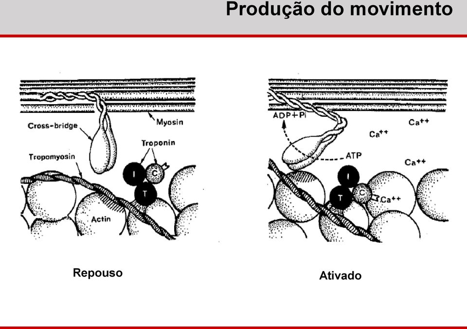 movimento