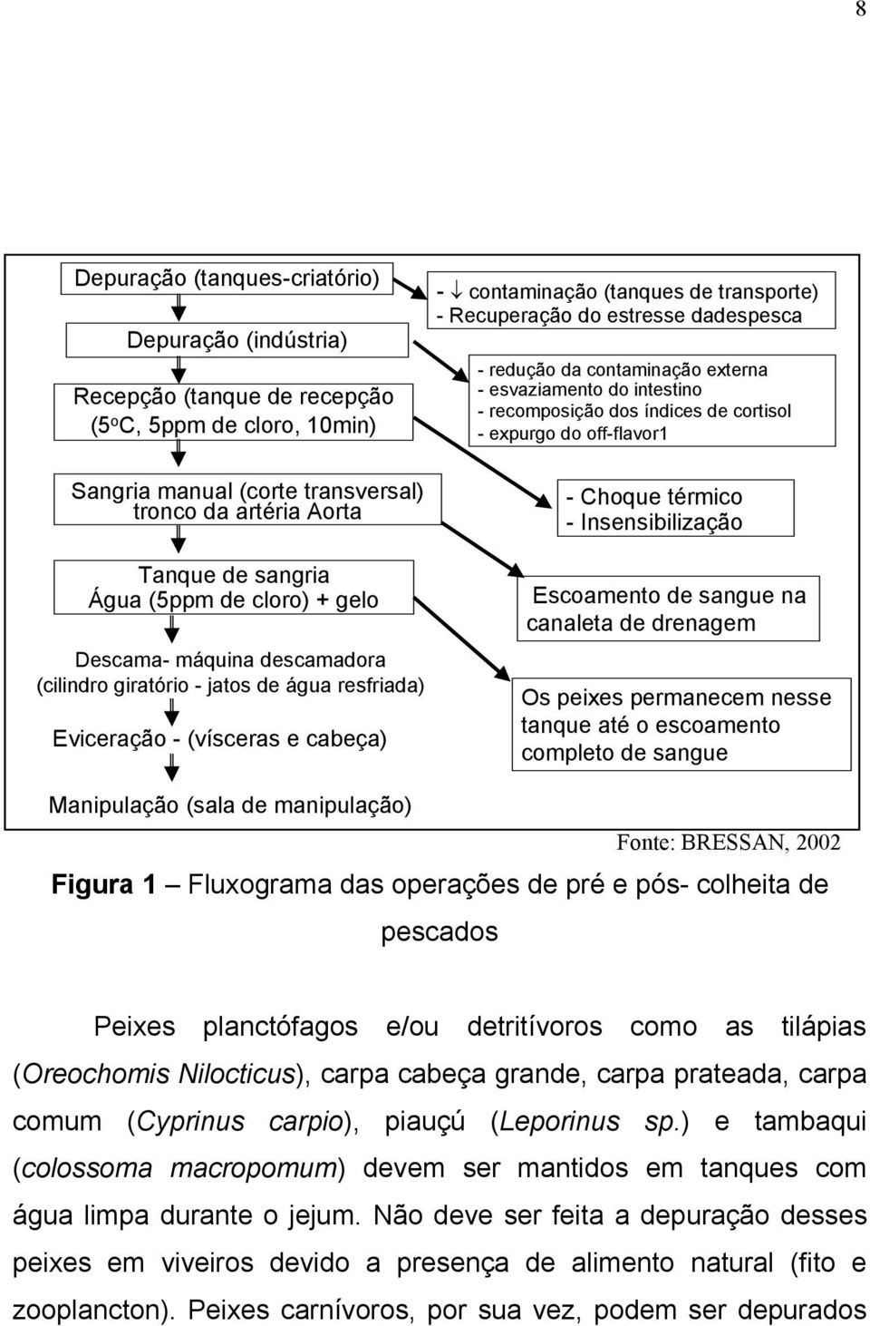 Insensibilização Tanque de sangria Água (5ppm de cloro) + gelo Escoamento de sangue na canaleta de drenagem Descama- máquina descamadora (cilindro giratório - jatos de água resfriada) Eviceração -