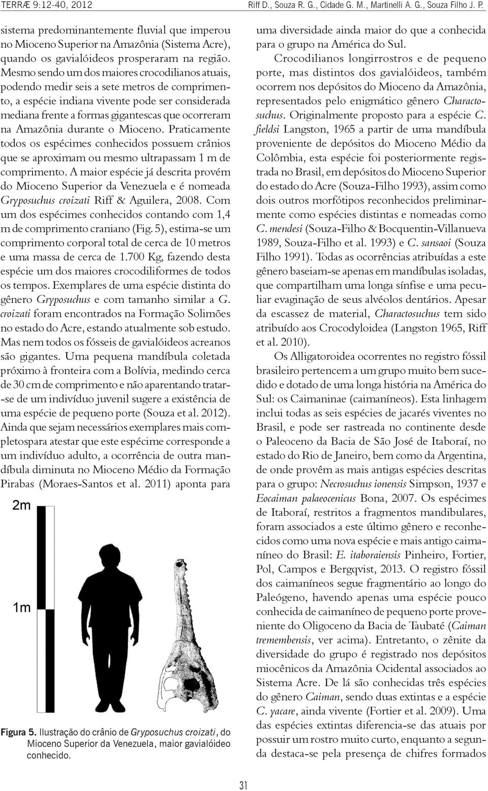 Amazônia durante o Mioceno. Praticamente todos os espécimes conhecidos possuem crânios que se aproximam ou mesmo ultrapassam 1 m de comprimento.