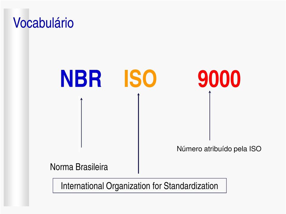 International Organization