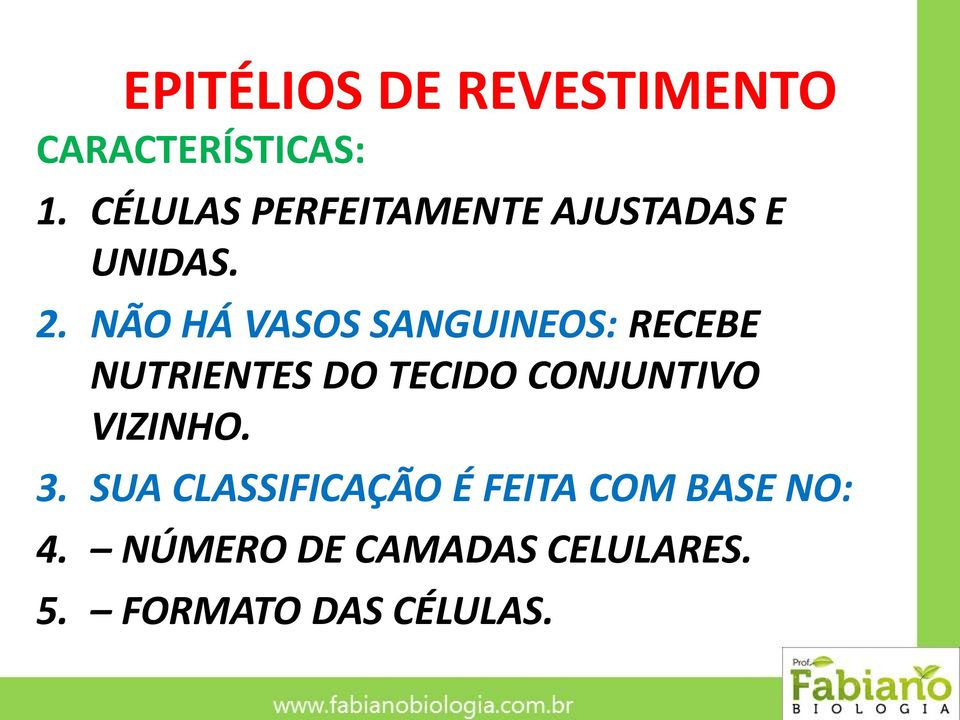 NÃO HÁ VASOS SANGUINEOS: RECEBE NUTRIENTES DO TECIDO CONJUNTIVO