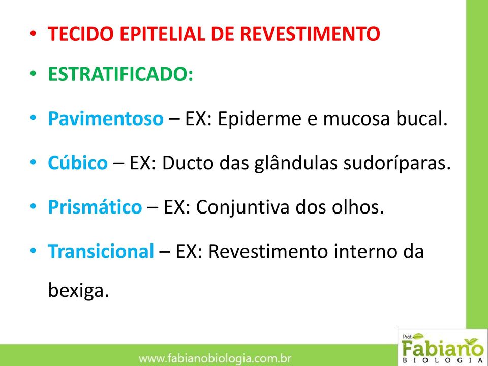 Cúbico EX: Ducto das glândulas sudoríparas.