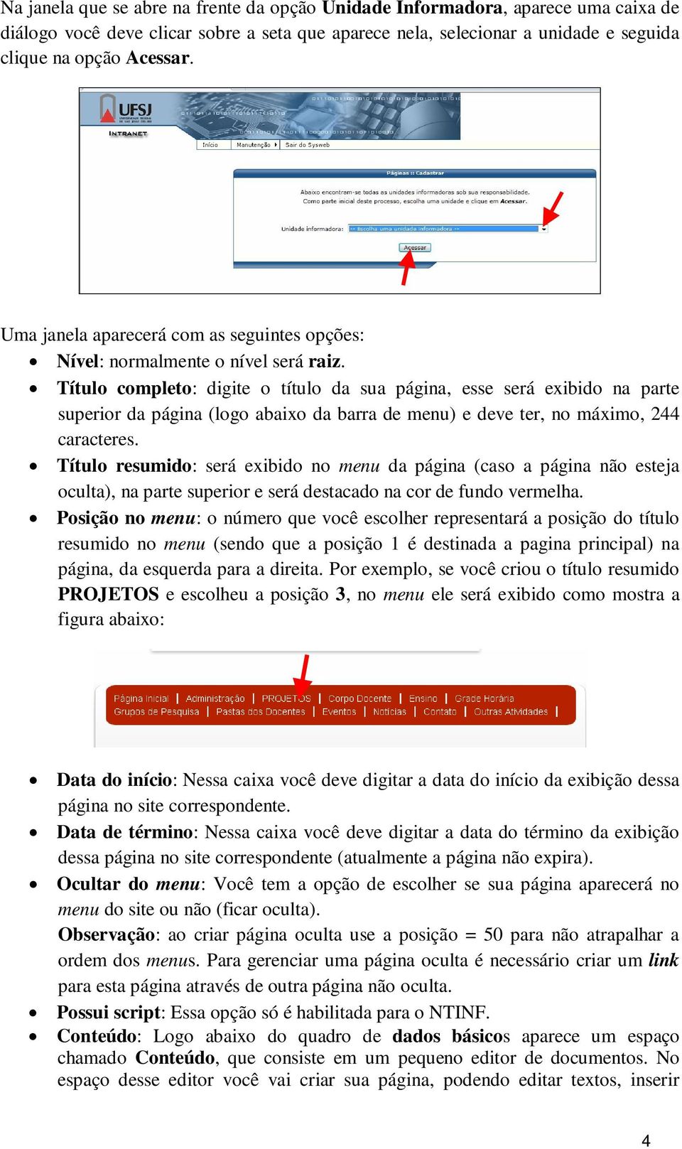 Título completo: digite o título da sua página, esse será exibido na parte superior da página (logo abaixo da barra de menu) e deve ter, no máximo, 244 caracteres.