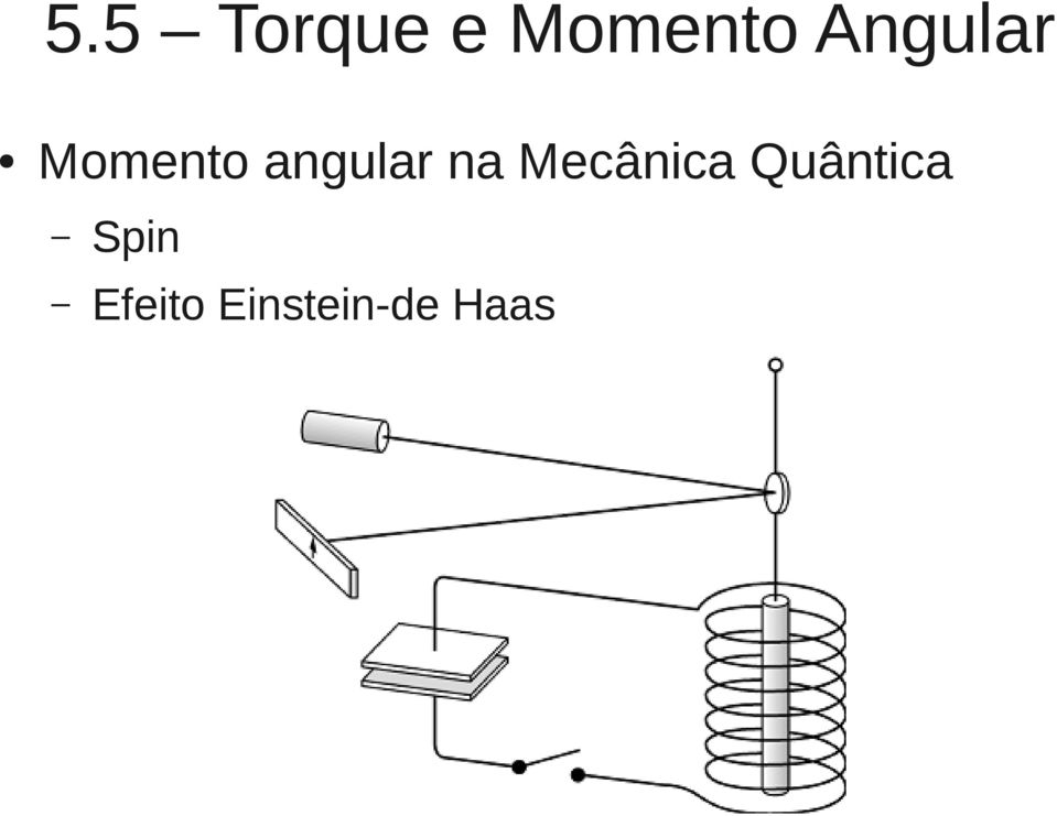 Quântica Spin