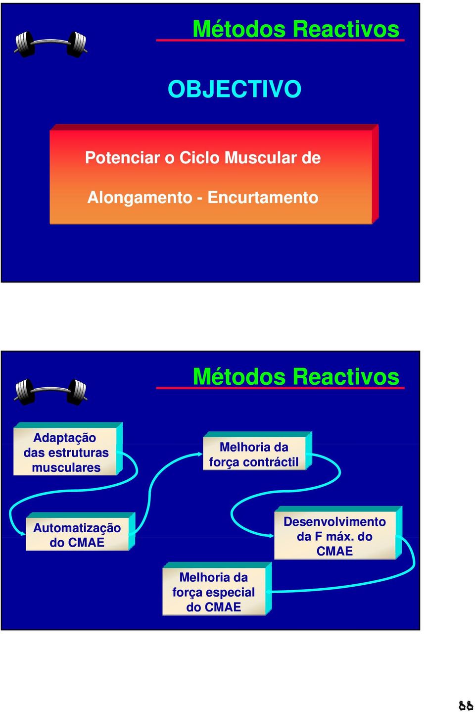 estruturas musculares Melhoria da força contráctil