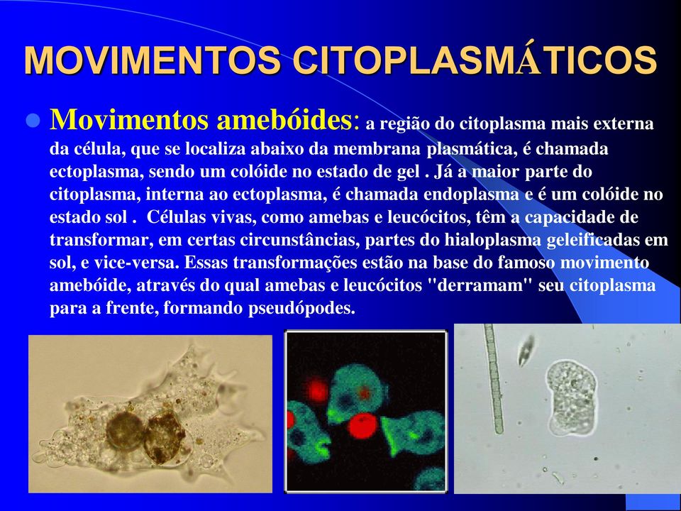 Células vivas, como amebas e leucócitos, têm a capacidade de transformar, em certas circunstâncias, partes do hialoplasma geleificadas em sol, e vice-versa.