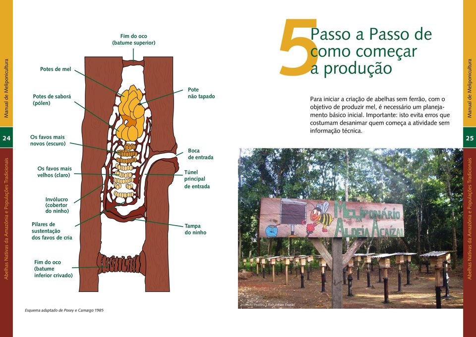 como começar a produção Para iniciar a criação de abelhas sem ferrão, com o objetivo de produzir mel, é necessário um planejamento básico inicial.