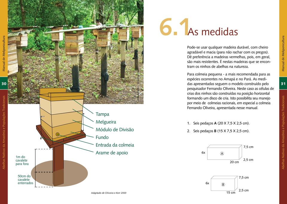 É nestas madeiras que se encontram os ninhos de abelhas na natureza. Para colmeia pequena - a mais recomendada para as espécies ocorrentes no Amapá e no 12 Pará.