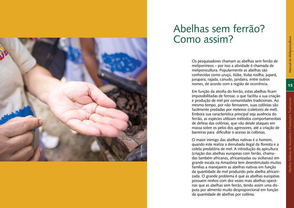 Em função da atrofia do ferrão, estas abelhas ficam impossibilitadas de ferroar, o que facilita a sua criação e produção de mel por comunidades tradicionais.