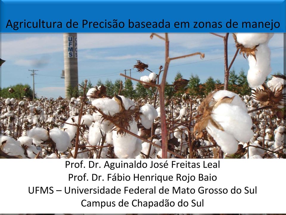 Dr. Fábio Henrique Rojo Baio UFMS Universidade