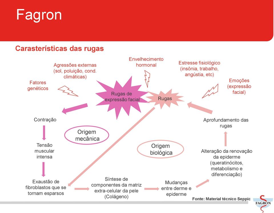 facial) Contração Tensão muscular intensa Exaustão de fibroblastos que se tornam esparsos Origem mecânica Síntese de componentes da matriz