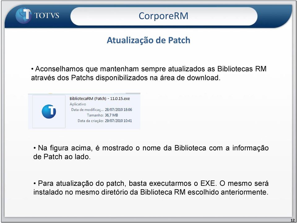 Na figura acima, é mostrado o nome da Biblioteca com a informação de Patch ao lado.