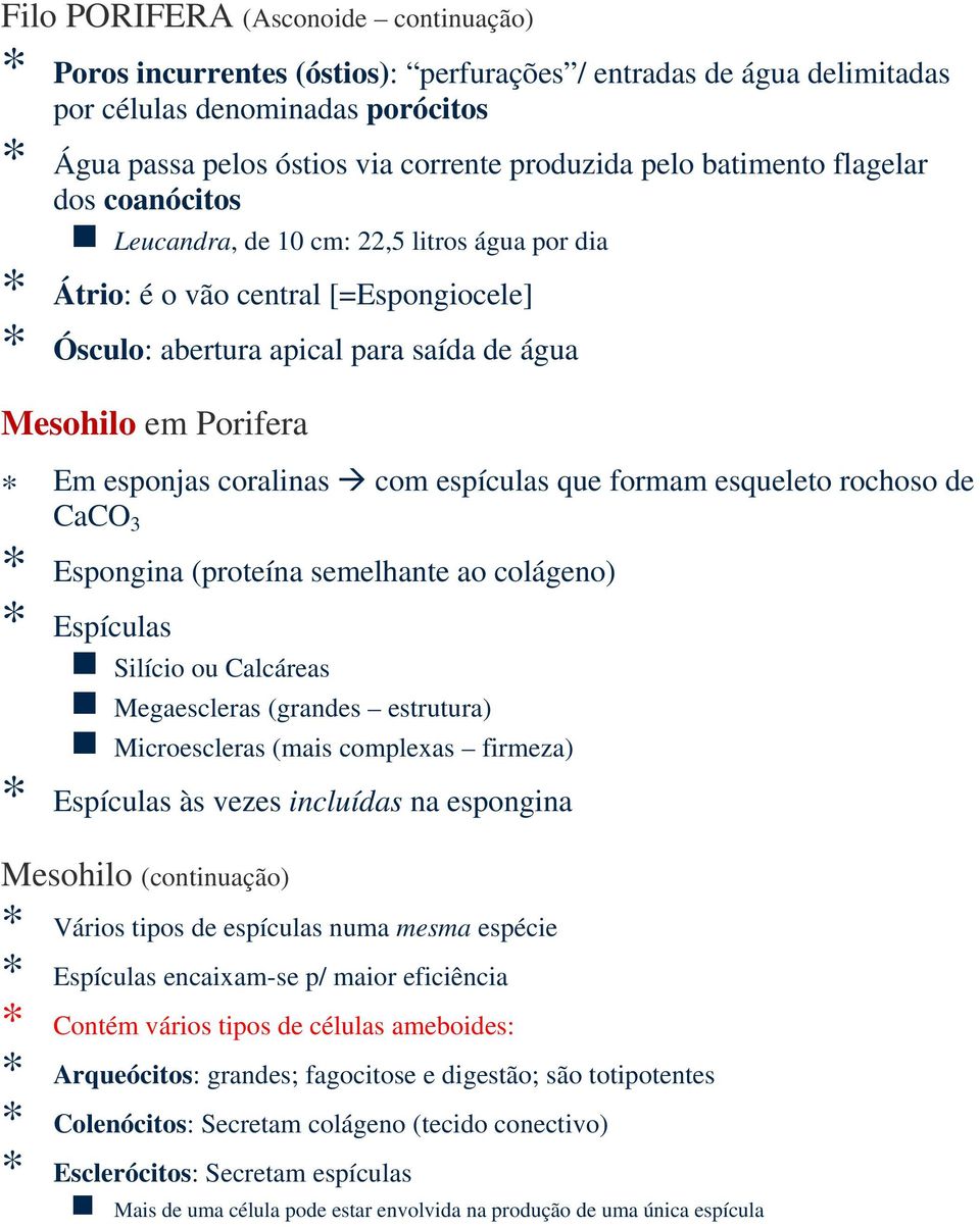 esponjas coralinas com espículas que formam esqueleto rochoso de CaCO 3 * Espongina (proteína semelhante ao colágeno) * Espículas Silício ou Calcáreas Megaescleras (grandes estrutura) Microescleras