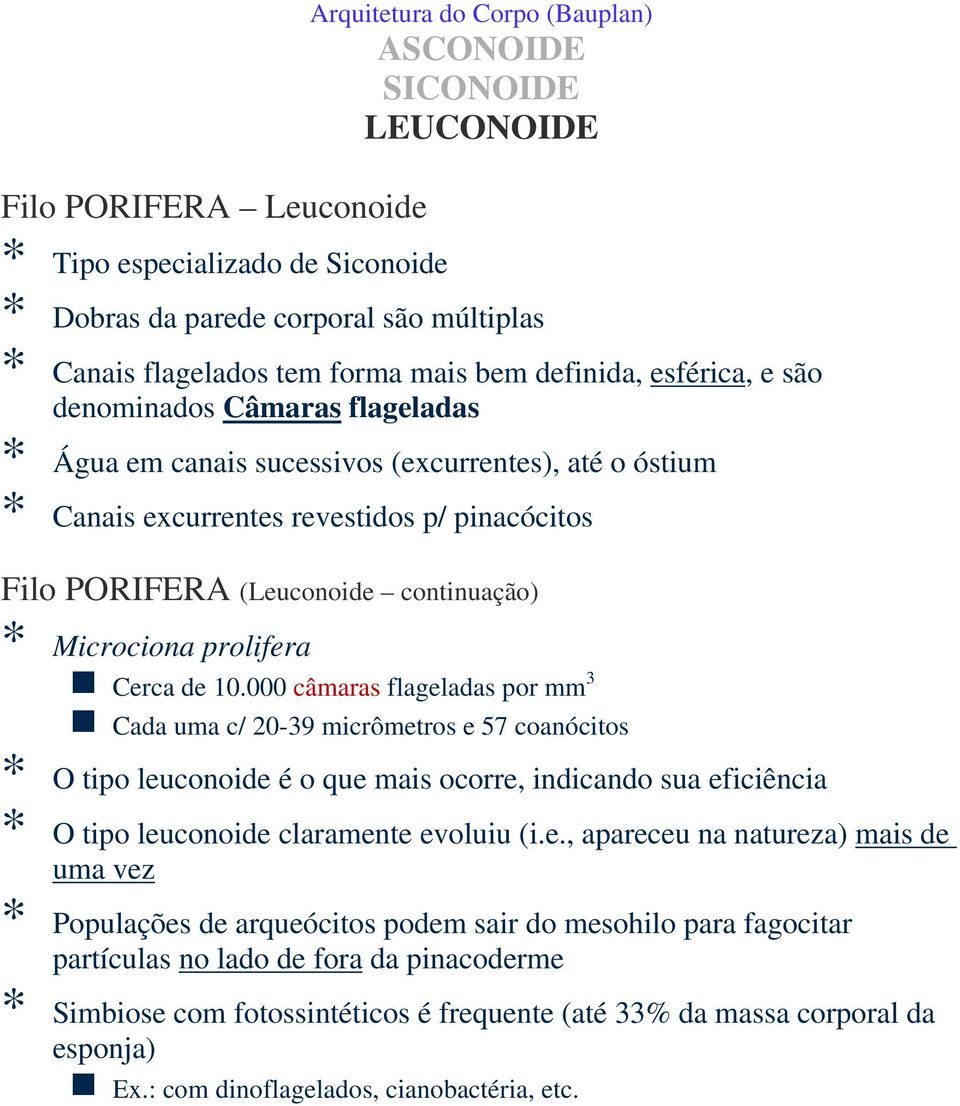 continuação) * Microciona prolifera Cerca de 10.