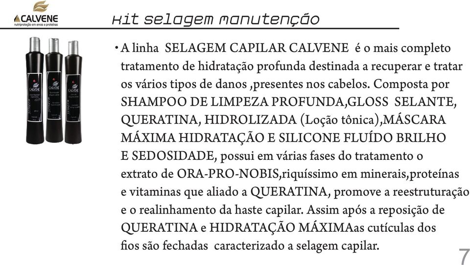 Composta por SHAMPOO DE LIMPEZA PROFUNDA,GLOSS SELANTE, QUE TINA, HIDROLIZADA (Loção tônica),másca MÁXIMA HID TAÇÃO E SILICONE FLUÍDO BRILHO E SEDOSIDADE, possui