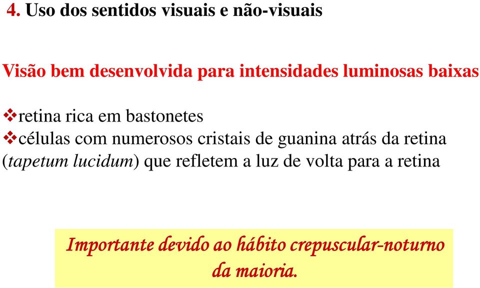 numerosos cristais de guanina atrás da retina (tapetum lucidum) que