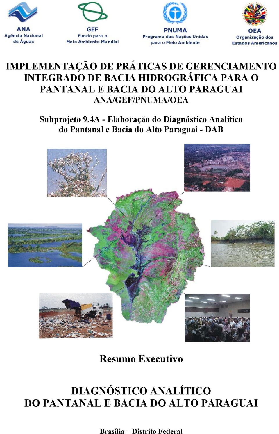 4A - Elaboração do Diagnóstico Analítico do Pantanal e Bacia do Alto Paraguai -