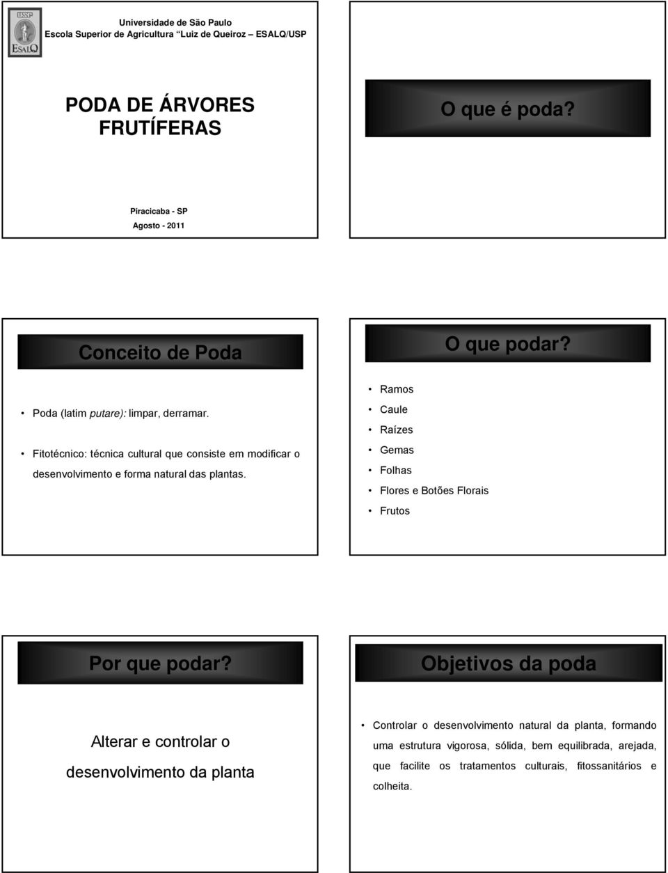 Fitotécnico: técnica cultural que consiste em modificar o desenvolvimento e forma natural das plantas.