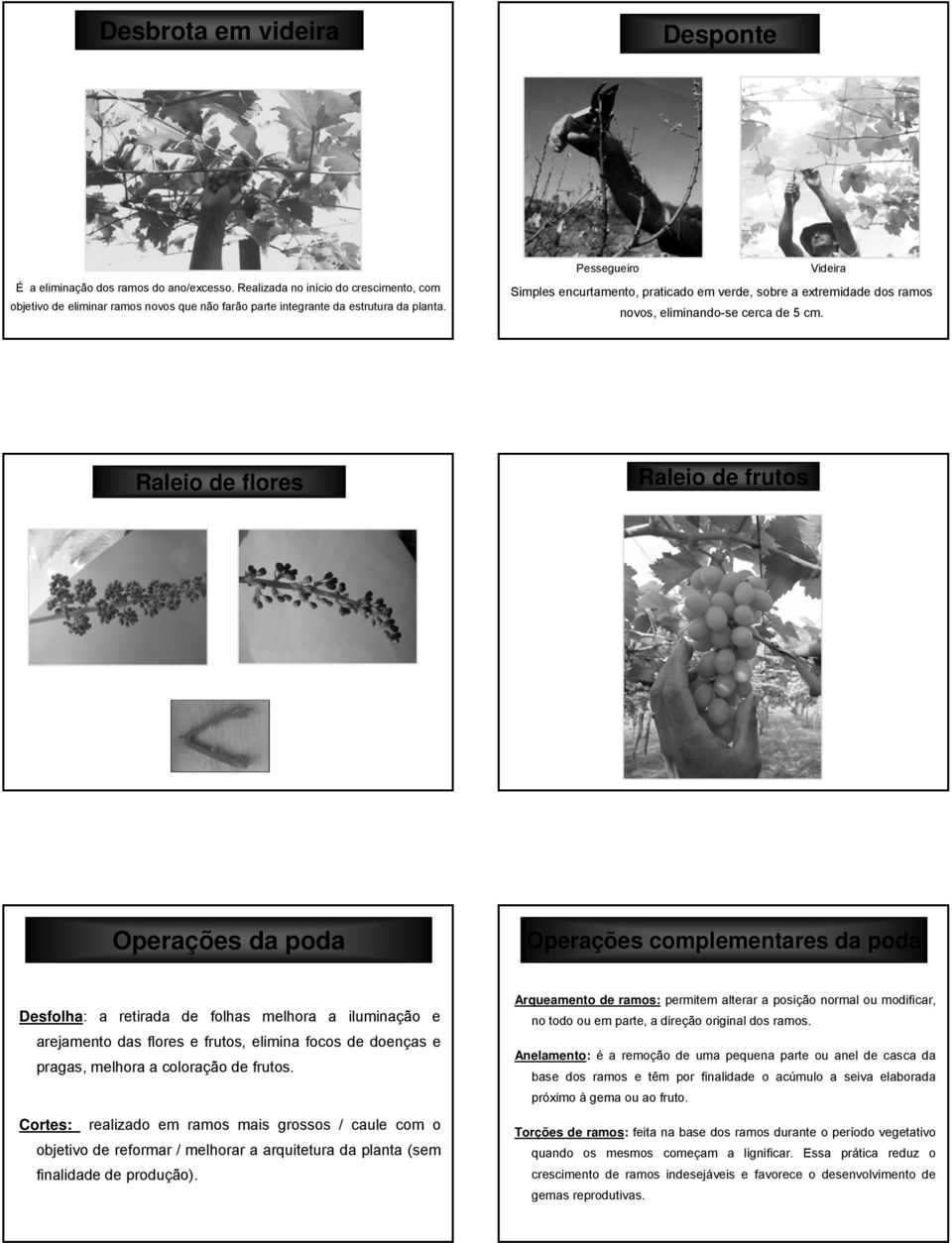 Raleio de flores Raleio de frutos Operações da poda Operações complementares da poda Desfolha: a retirada de folhas melhora a iluminação e arejamento das flores e frutos, elimina focos de doenças e