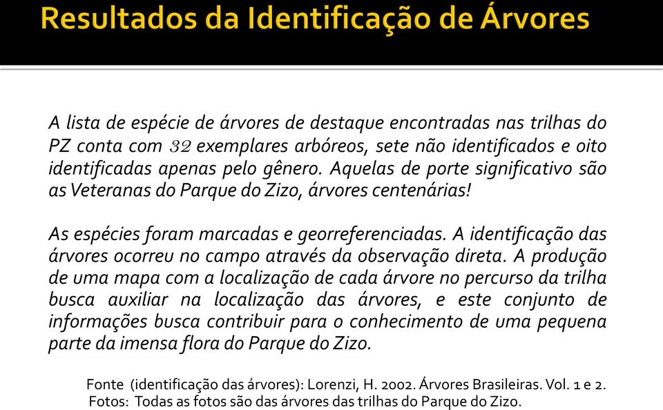 A identificação das árvores ocorreu no campo através da observação direta.