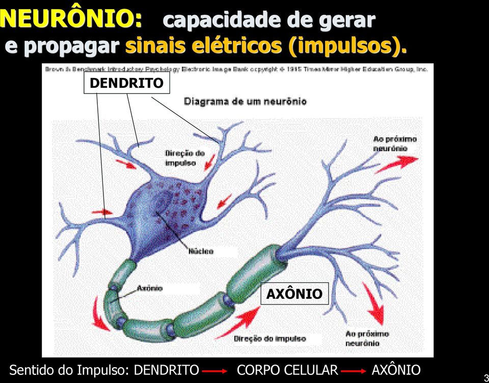 (impulsos).