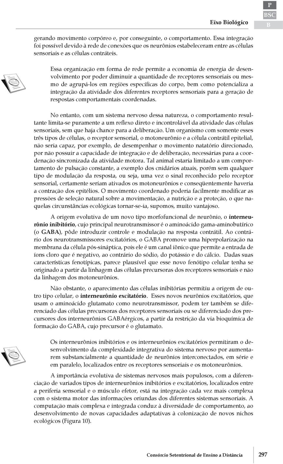 Essa organização em forma de rede permite a economia de energia de desenvolvimento por poder diminuir a quantidade de receptores sensoriais ou mesmo de agrupá-los em regiões específicas do corpo, bem