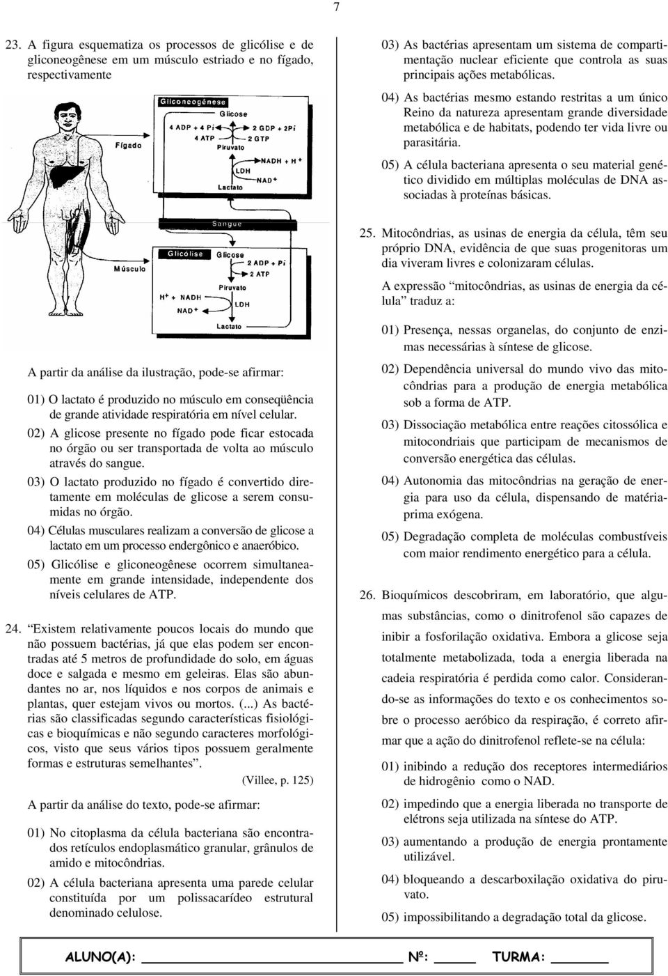 04) As bactérias mesmo estando restritas a um único Reino da natureza apresentam grande diversidade metabólica e de habitats, podendo ter vida livre ou parasitária.