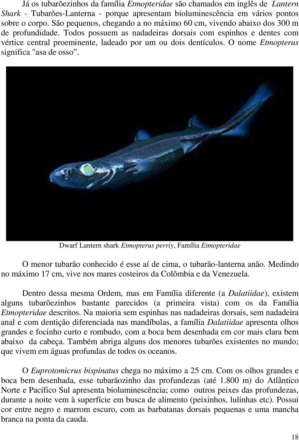 Todos possuem as nadadeiras dorsais com espinhos e dentes com vértice central proeminente, ladeado por um ou dois dentículos. O nome Etmopterus significa "asa de osso.