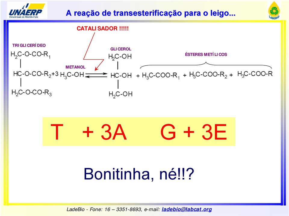 !!!! TRIGLICERÍDEO GLICEROL ÉSTERES