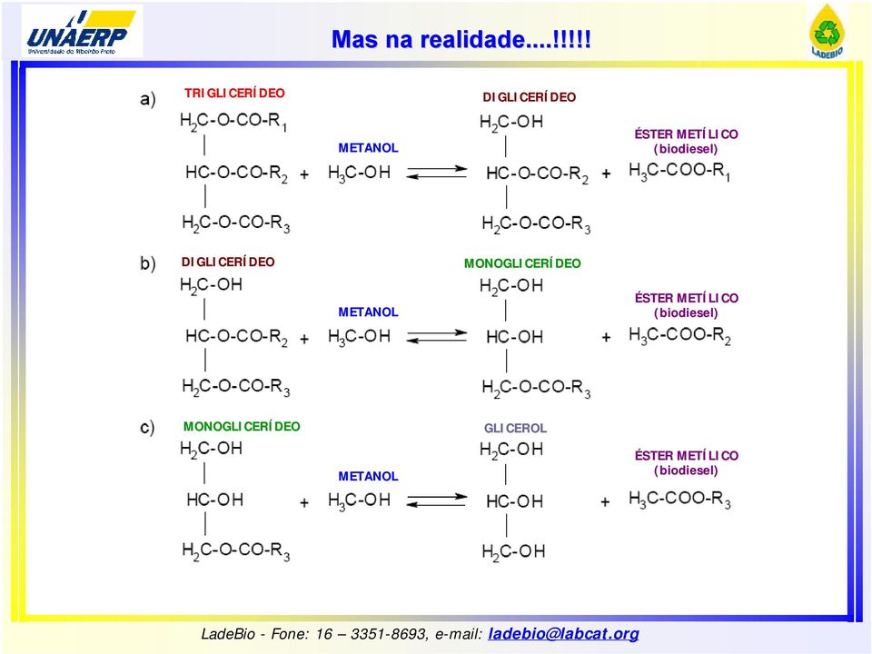 METÍLICO (biodiesel) DIGLICERÍDEO DEO MONOGLICERÍDEO