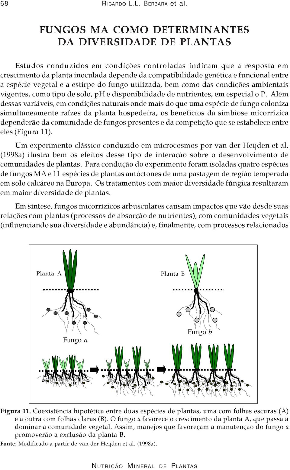 funcional entre a espécie vegetal e a estirpe do fungo utilizada, bem como das condições ambientais vigentes, como tipo de solo, ph e disponibilidade de nutrientes, em especial o P.