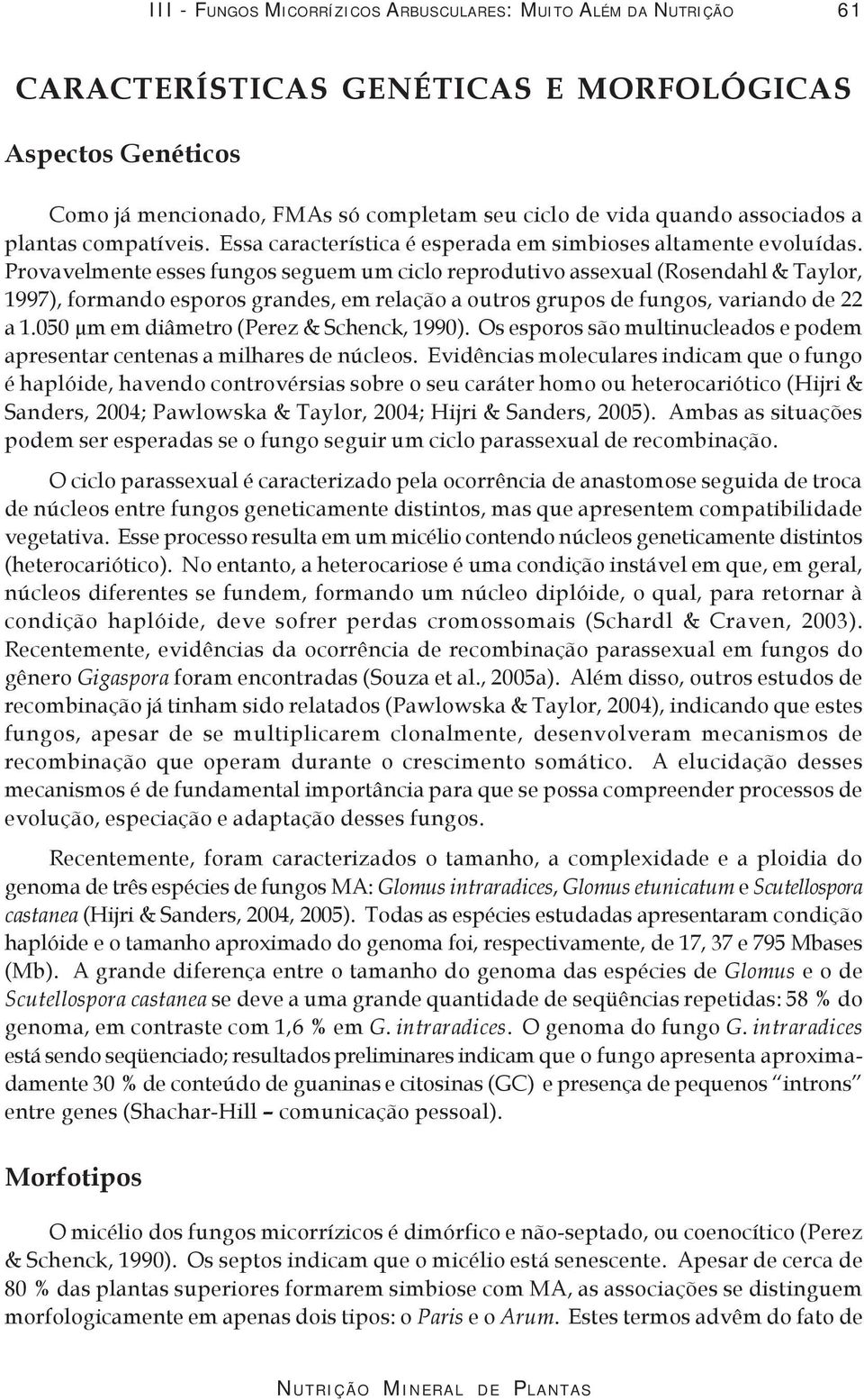 Provavelmente esses fungos seguem um ciclo reprodutivo assexual (Rosendahl & Taylor, 1997), formando esporos grandes, em relação a outros grupos de fungos, variando de 22 a 1.