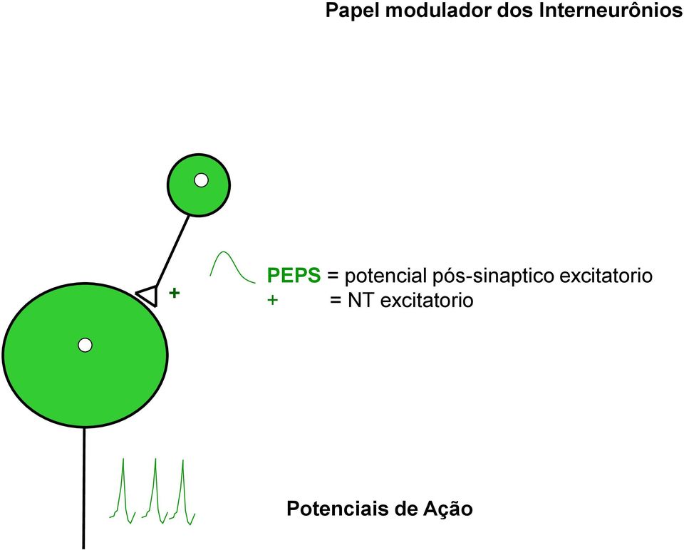 potencial pós-sinaptico