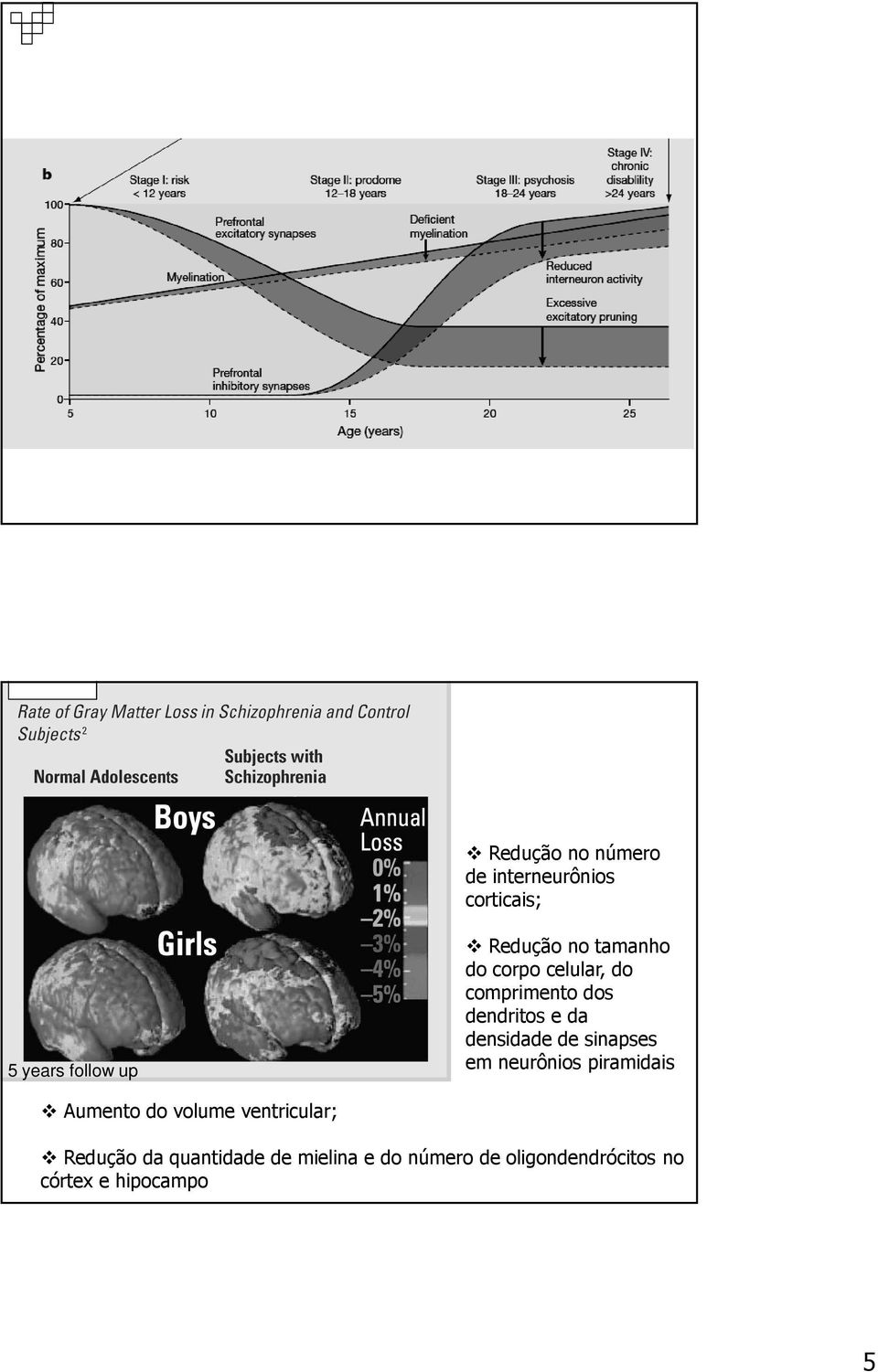 sinapses em neurônios piramidais Aumento do volume ventricular; Redução da