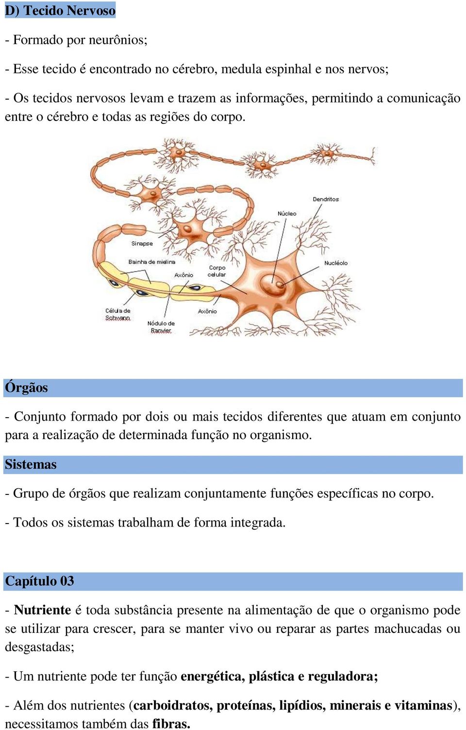 Sistemas - Grupo de órgãos que realizam conjuntamente funções específicas no corpo. - Todos os sistemas trabalham de forma integrada.