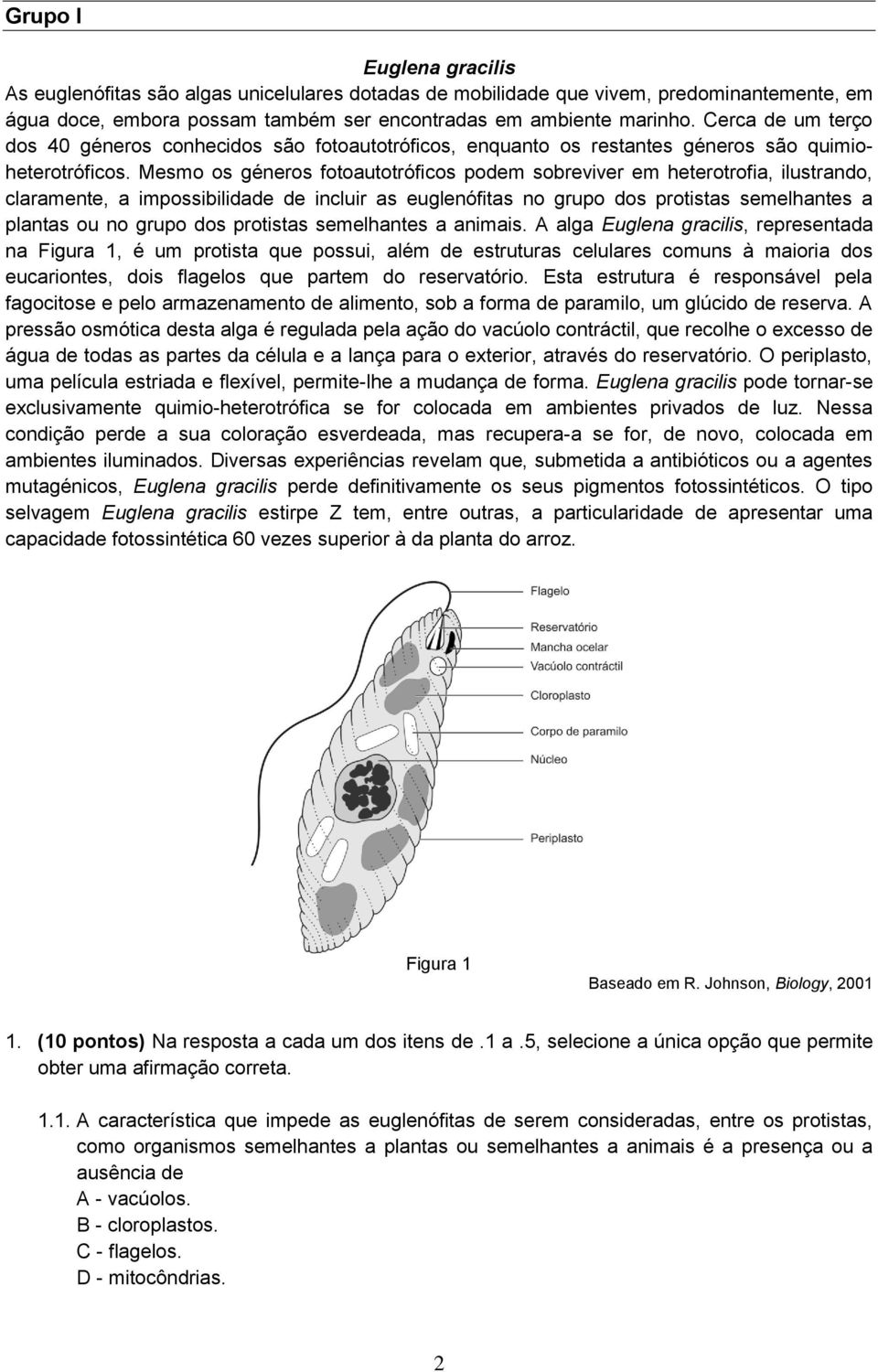 Mesmo os géneros fotoautotróficos podem sobreviver em heterotrofia, ilustrando, claramente, a impossibilidade de incluir as euglenófitas no grupo dos protistas semelhantes a plantas ou no grupo dos