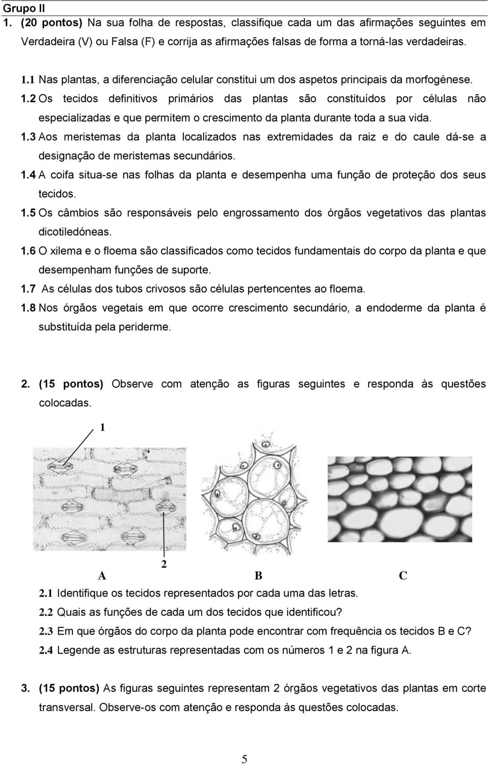 3 Aos meristemas da planta localizados nas extremidades da raiz e do caule dá-se a designação de meristemas secundários. 1.