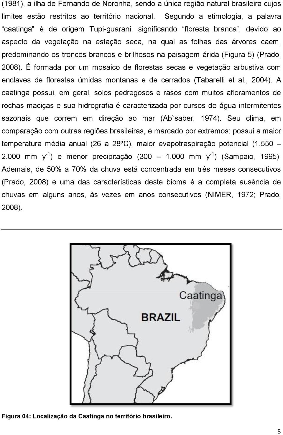 troncos brancos e brilhosos na paisagem árida (Figura 5) (Prado, 2008).