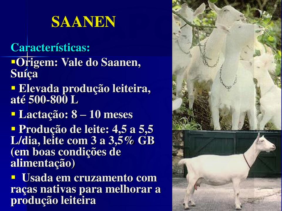 leite: 4,5 a 5,5 L/dia, leite com 3 a 3,5% GB (em boas condições de