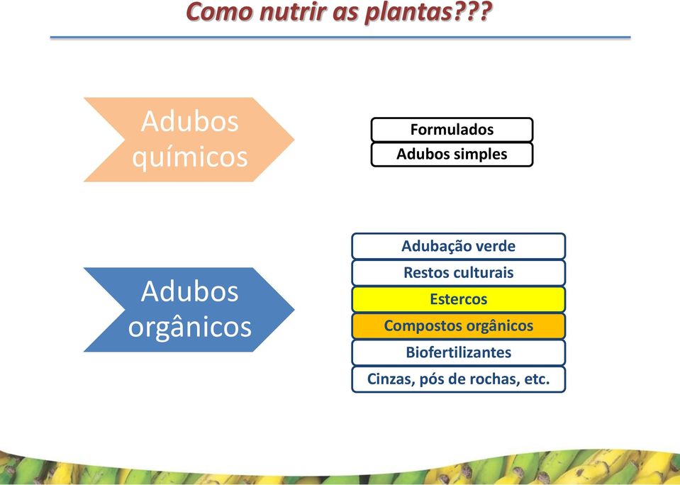 Adubação verde Adubos orgânicos Restos