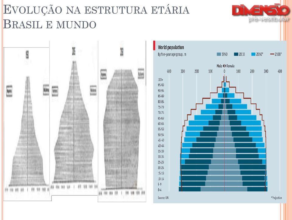 ESTRUTURA