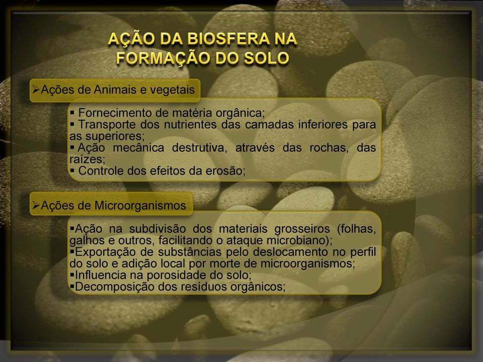 subdivisão dos materiais grosseiros (folhas, galhos e outros, facilitando o ataque microbiano); Exportação de substâncias pelo