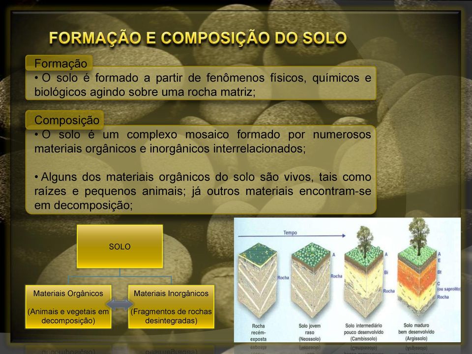 materiais orgânicos do solo são vivos, tais como raízes e pequenos animais; já outros materiais encontram-se em