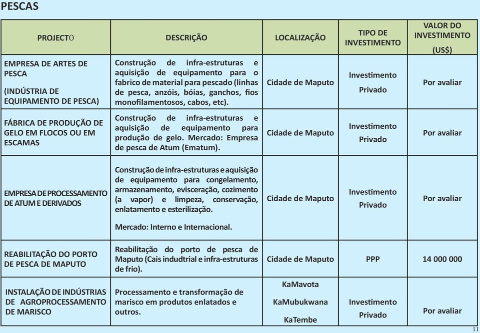 Construção de infra-estruturas e aquisição de equipamento para produção de gelo. Mercado: Empresa de pesca de Atum (Ematum).