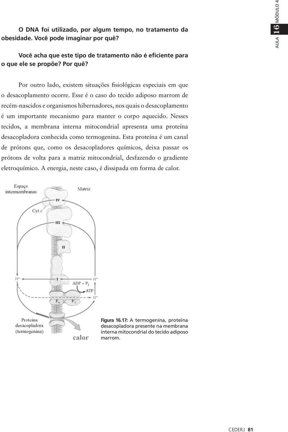 Esse é o caso do tecido adiposo marrom de recém-nascidos e organismos hibernadores, nos quais o desacoplamento é um importante mecanismo para manter o corpo aquecido.