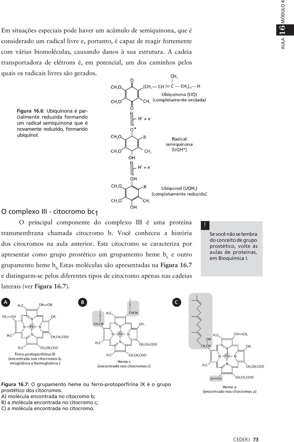 6: Ubiquinona é parcialmente reduzida formando um radical semiquinona que é novamente reduzido, formando ubiquinol.