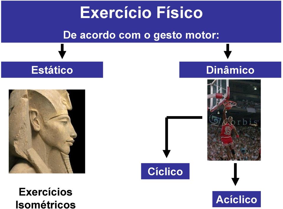 Estático Dinâmico Cíclico