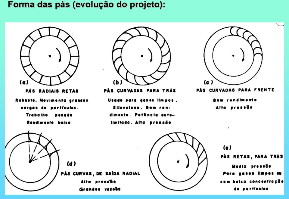 (evolução