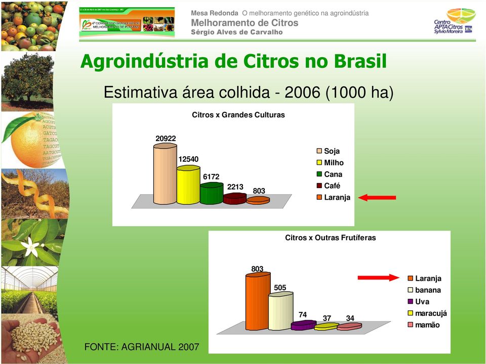 6172 2213 803 Cana Café Laranja Citros x Outras Frutíferas 803