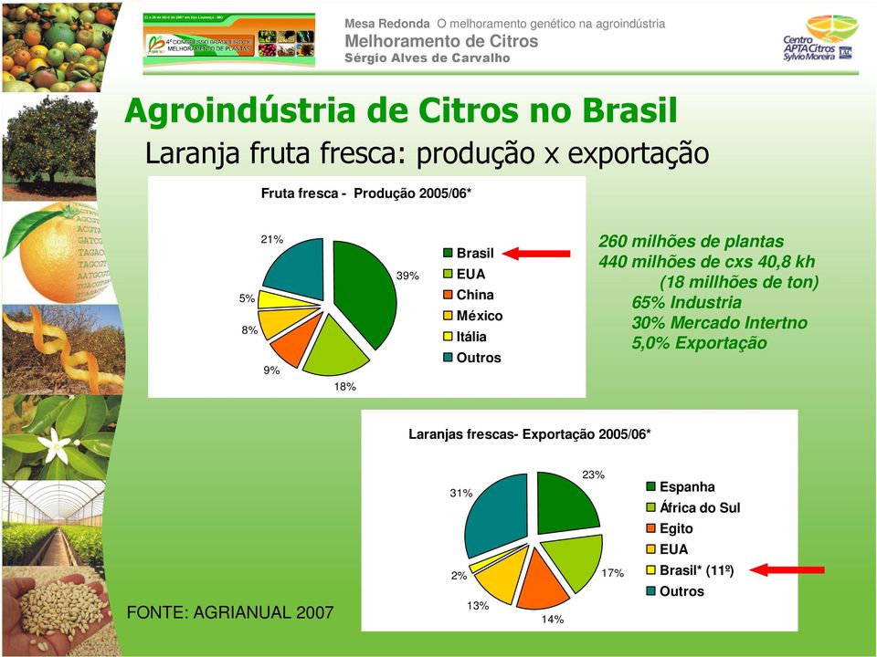 cxs 40,8 kh (18 millhões de ton) 65% Industria 30% Mercado Intertno 5,0% Exportação Laranjas frescas-